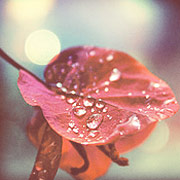 短信验证码轰炸平台